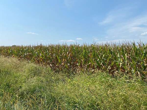 0.63 Acres of Residential Land for Sale in Nassawadox, Virginia