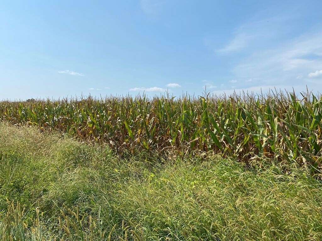 0.63 Acres of Residential Land for Sale in Nassawadox, Virginia