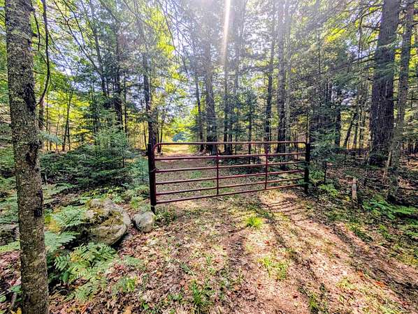 90 Acres of Recreational Land for Sale in Crystal Falls, Michigan