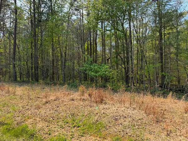 17.2 Acres of Land for Sale in Tellico Plains, Tennessee