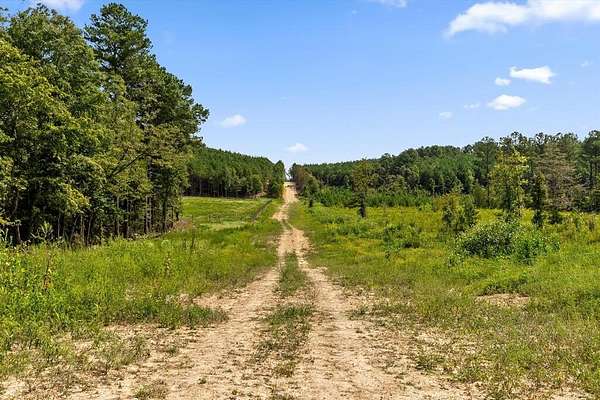 230 Acres of Agricultural Land for Sale in Dalton, Georgia