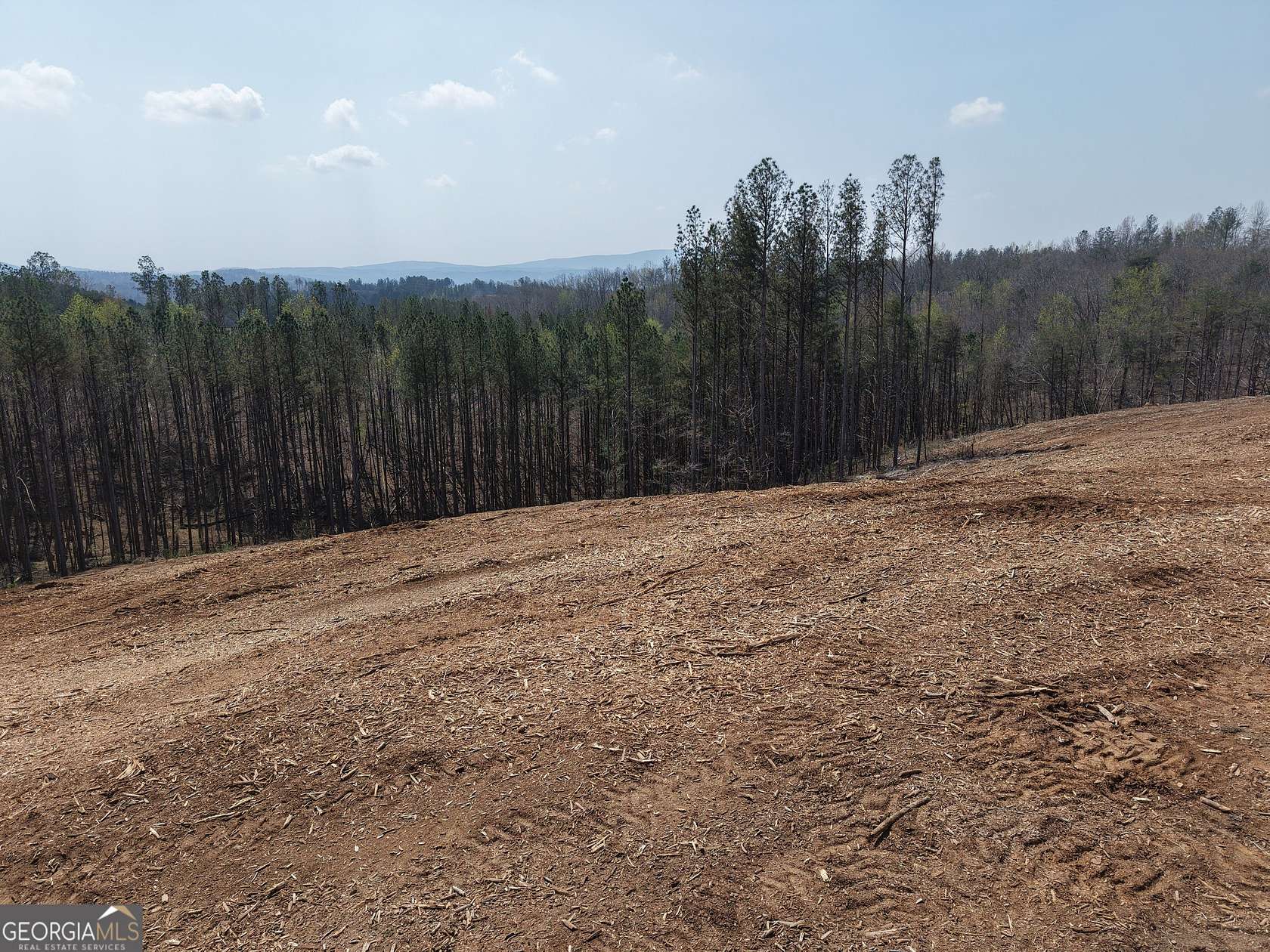 12.7 Acres of Land for Sale in Fairmount, Georgia