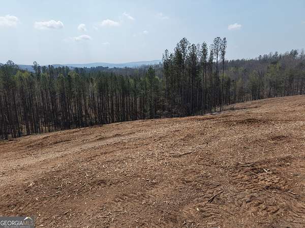 12.7 Acres of Land for Sale in Fairmount, Georgia