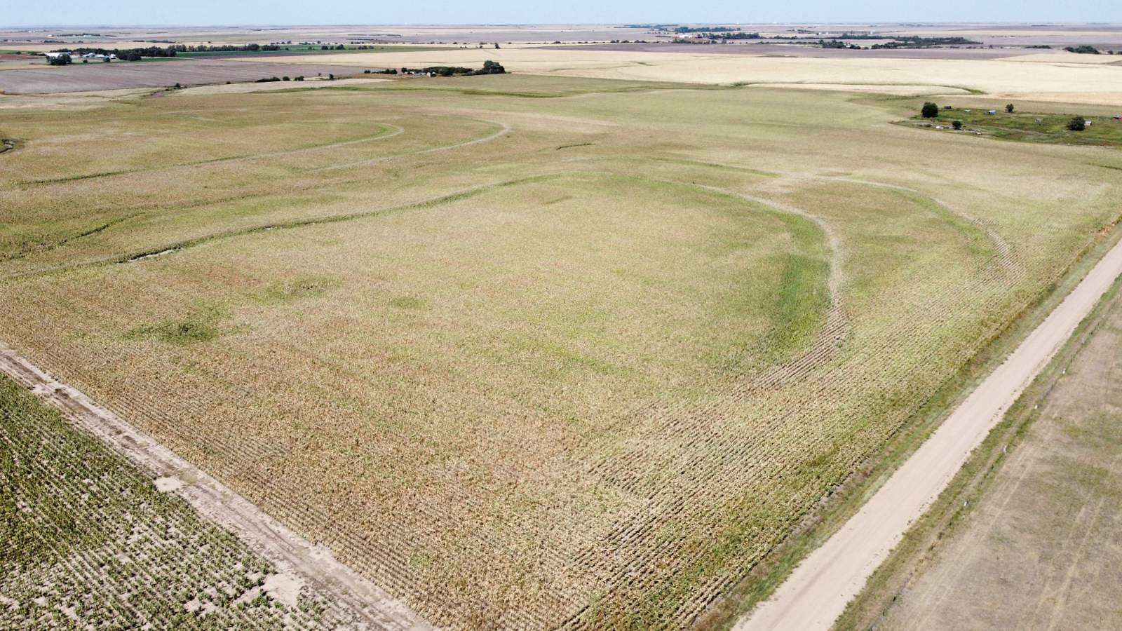 157 Acres of Agricultural Land for Sale in Ness City, Kansas