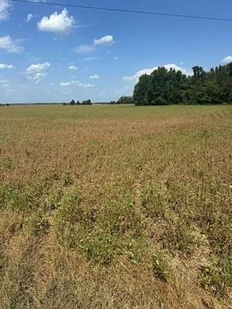 184 Acres of Agricultural Land for Sale in Charleston, Mississippi