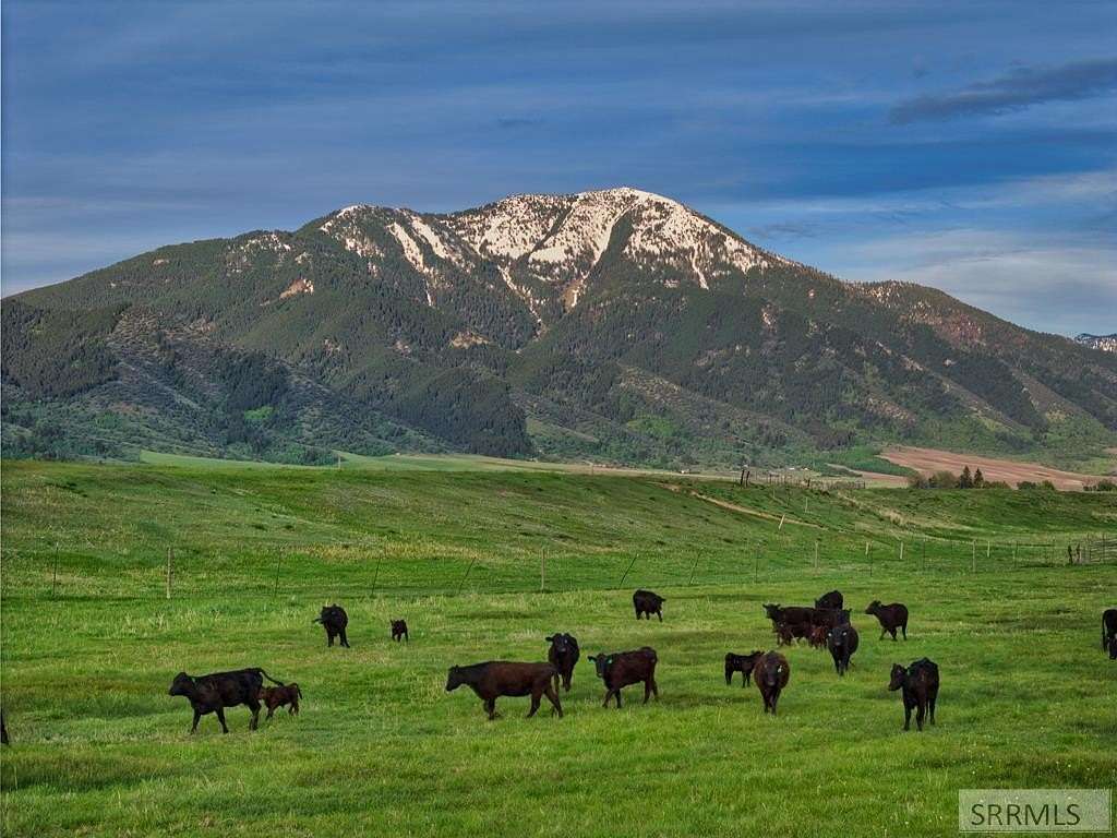 686 Acres of Land for Sale in Swan Valley, Idaho