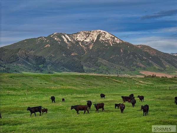 686 Acres of Land for Sale in Swan Valley, Idaho