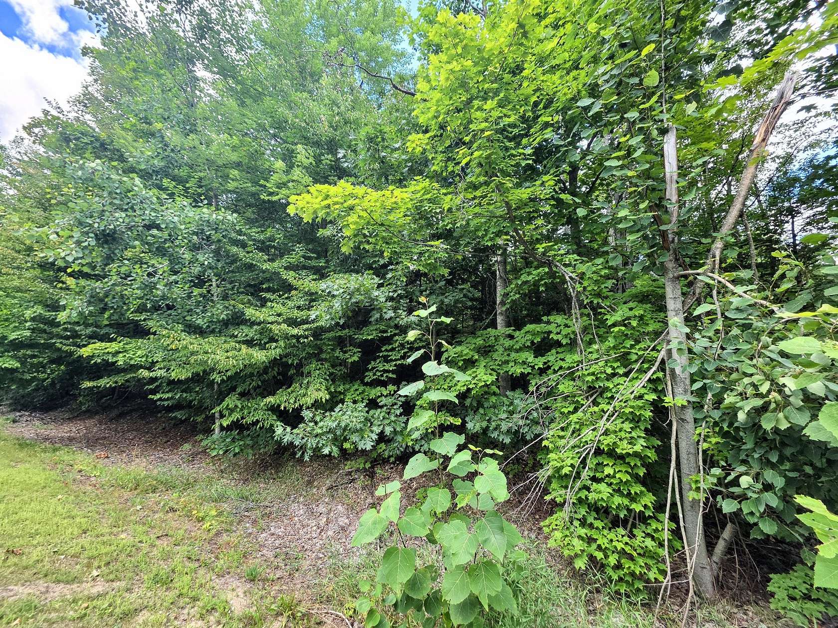 Residential Land for Sale in Gaylord, Michigan