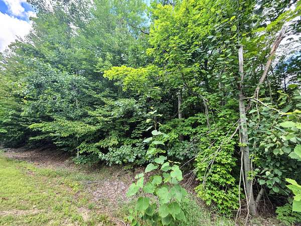Residential Land for Sale in Gaylord, Michigan
