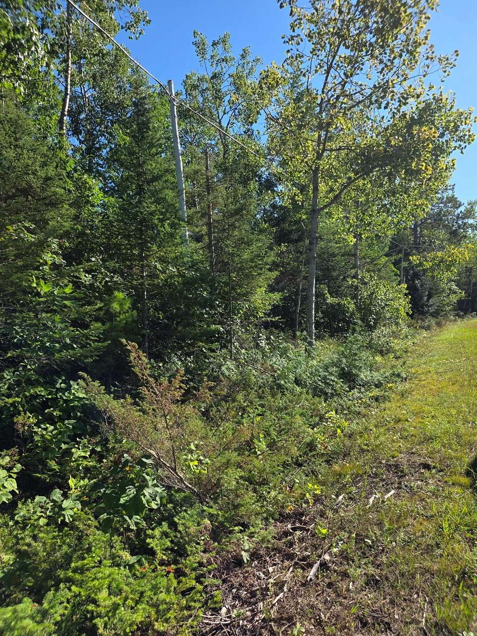 0.4 Acres of Residential Land for Sale in Presque Isle Township, Michigan