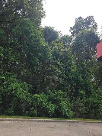 1.42 Acres of Mixed-Use Land for Sale in Walterboro, South Carolina
