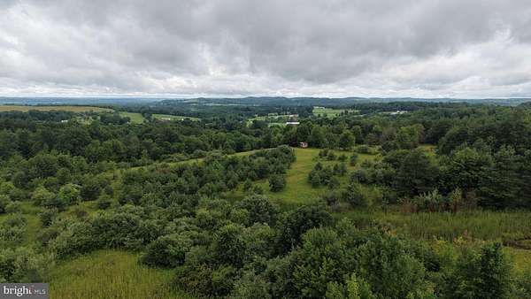65 Acres of Recreational & Residential Land for Auction in Sligo, Pennsylvania
