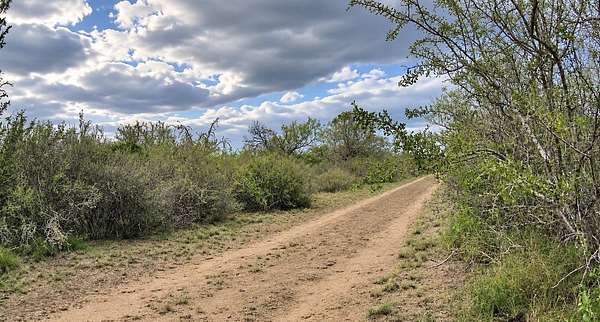 24 Acres of Recreational Land for Sale in San Diego, Texas