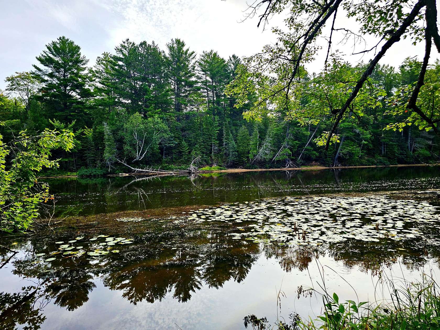 63.5 Acres of Recreational Land for Sale in Mcmillan Township, Michigan