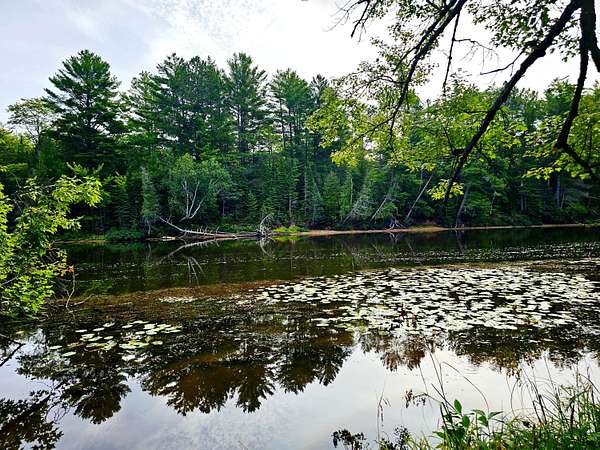 63.5 Acres of Recreational Land for Sale in Mcmillan Township, Michigan