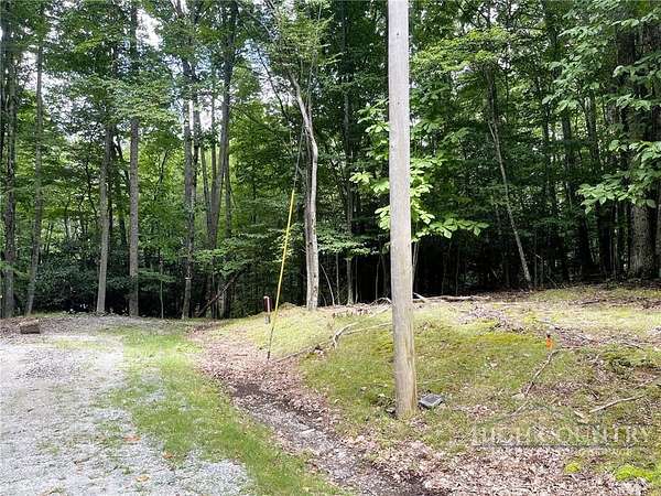 0.35 Acres of Land for Sale in Beech Mountain, North Carolina
