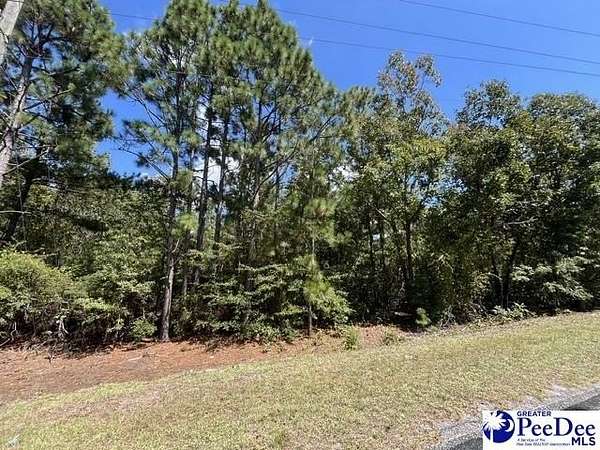 25.5 Acres of Land for Sale in Cassatt, South Carolina