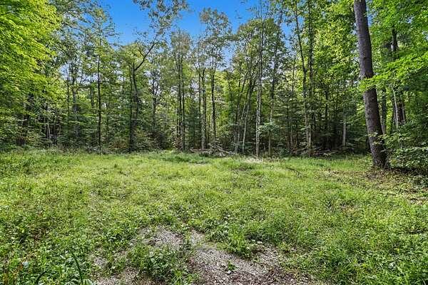 39 Acres of Recreational & Residential Land for Sale in Paw Paw, Michigan