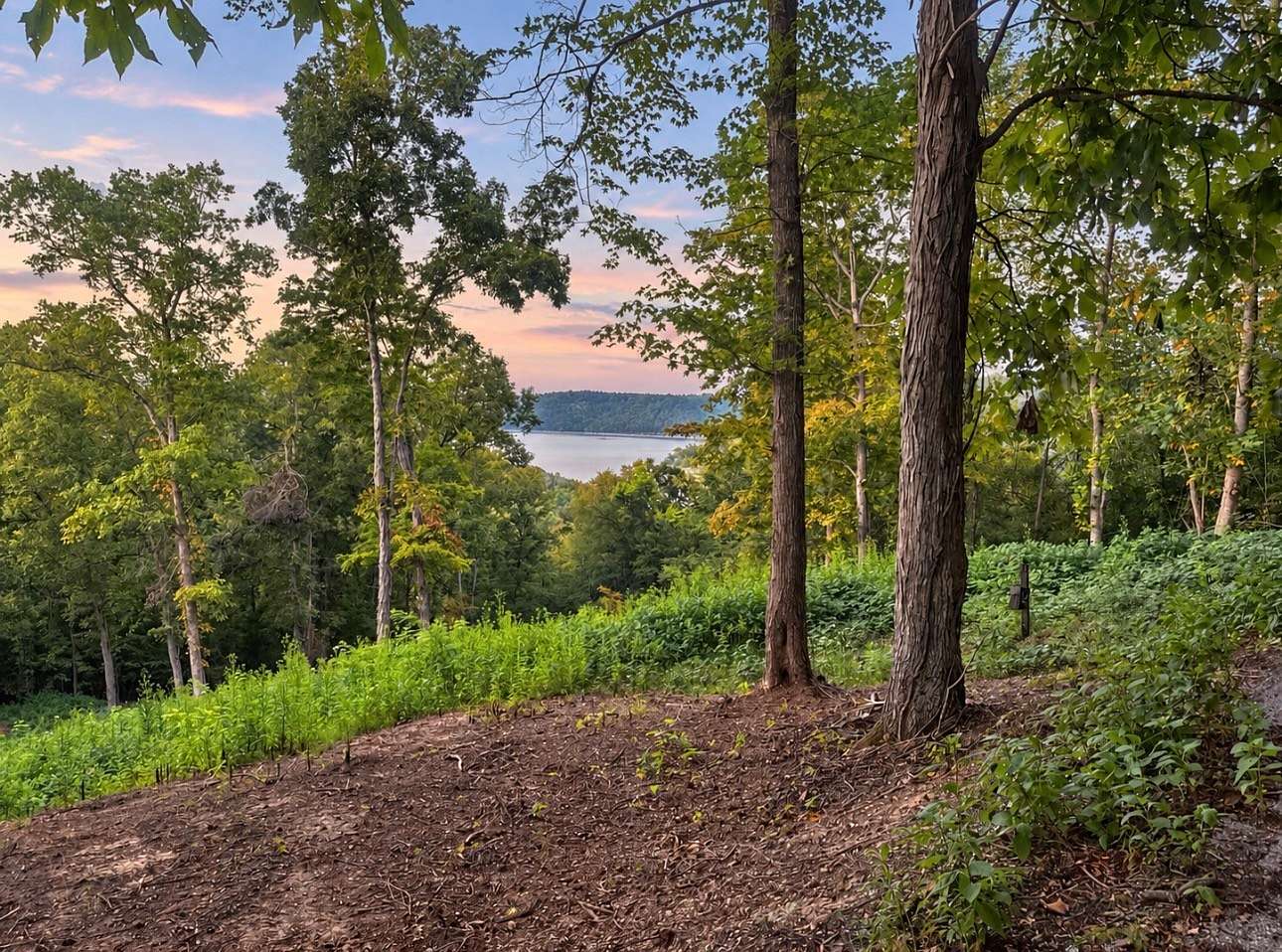 1 Acre of Residential Land for Sale in Smithville, Tennessee