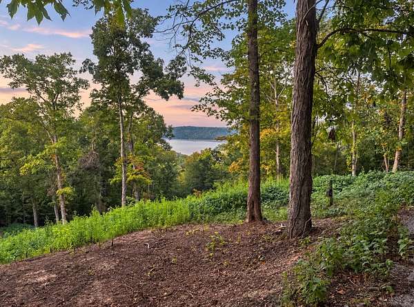 1 Acre of Residential Land for Sale in Smithville, Tennessee