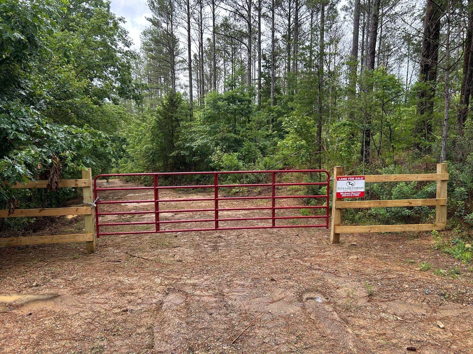 64.6 Acres of Recreational & Residential Land for Sale in Oneonta, Alabama