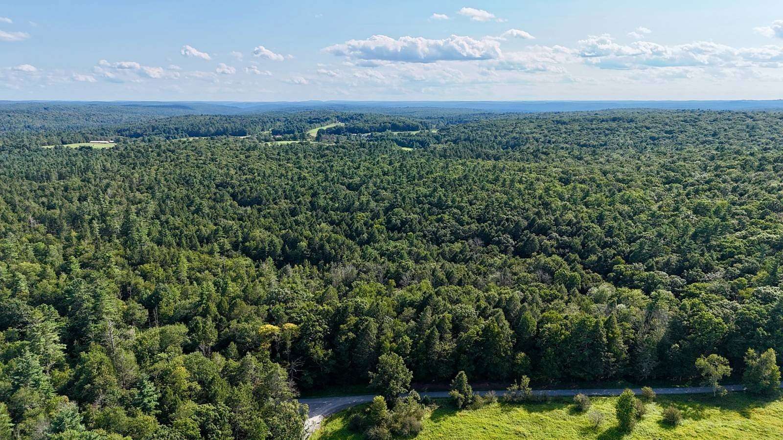 50 Acres of Recreational Land for Sale in Lake Huntington, New York