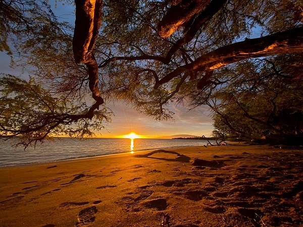 11.7 Acres of Agricultural Land for Sale in Lahaina, Hawaii