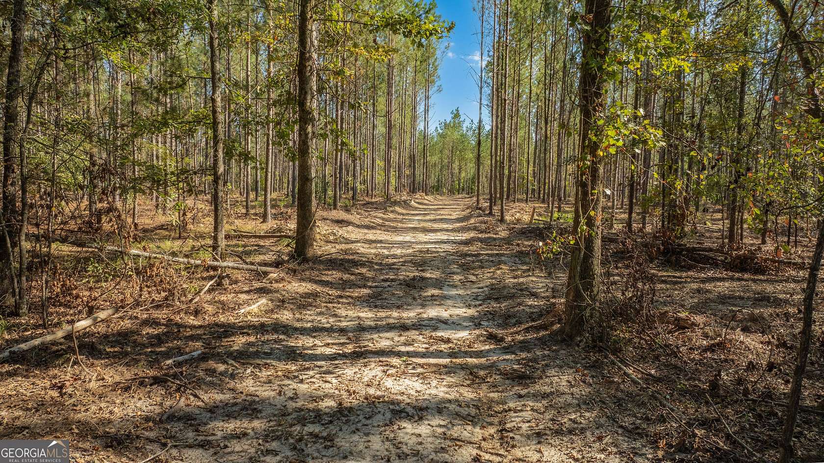 16.4 Acres of Recreational & Residential Land for Sale in Rome, Georgia