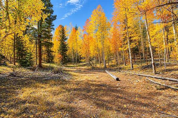 7.9 Acres of Residential Land for Sale in Fairplay, Colorado
