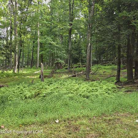 0.3 Acres of Residential Land for Sale in North Union Township, Pennsylvania