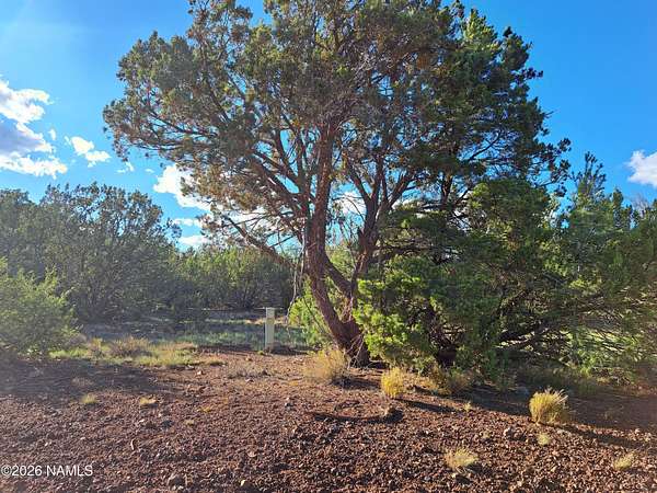 1 Acre of Land for Sale in Williams, Arizona
