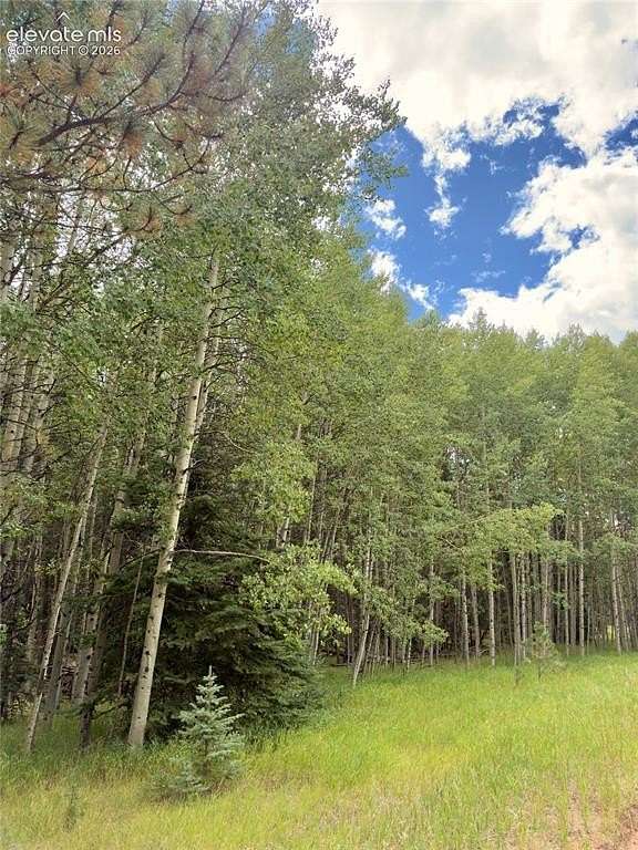 0.54 Acres of Residential Land for Sale in Florissant, Colorado