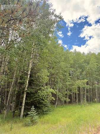 0.54 Acres of Residential Land for Sale in Florissant, Colorado