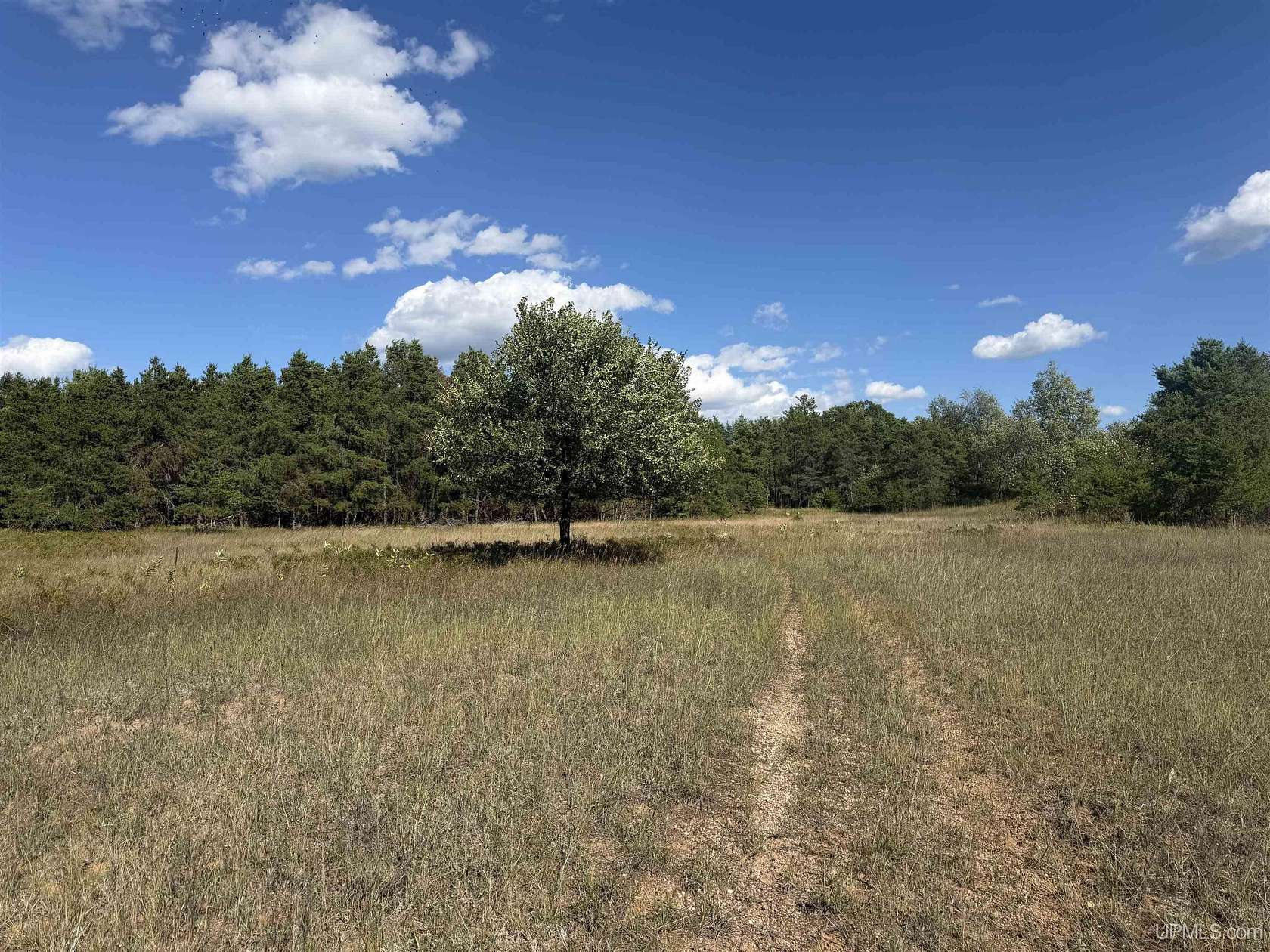 23.5 Acres of Land for Sale in Iron Mountain, Michigan