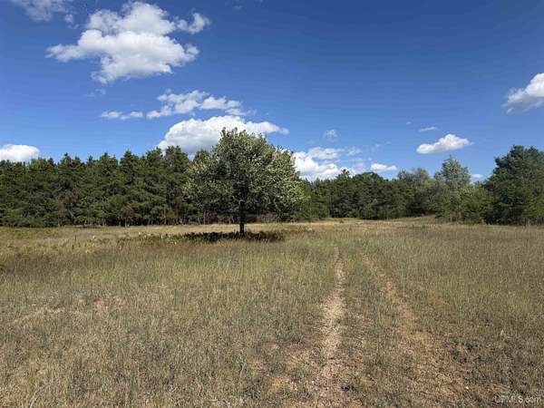 23.5 Acres of Land for Sale in Iron Mountain, Michigan