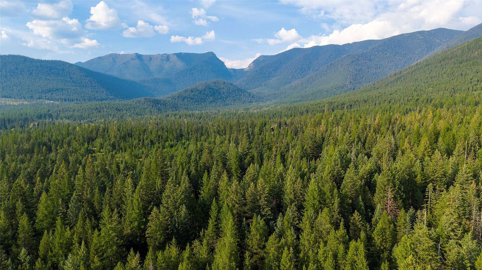 40.1 Acres of Recreational & Residential Land for Sale in Eureka, Montana