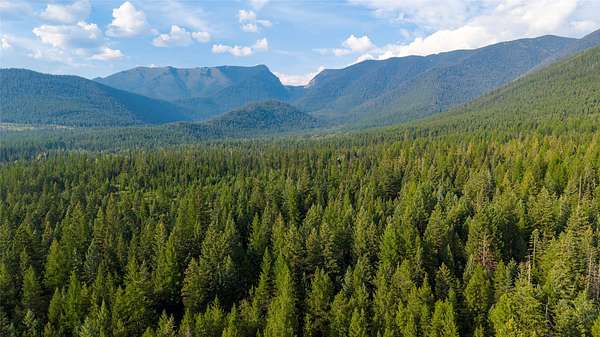 40.1 Acres of Recreational & Residential Land for Sale in Eureka, Montana