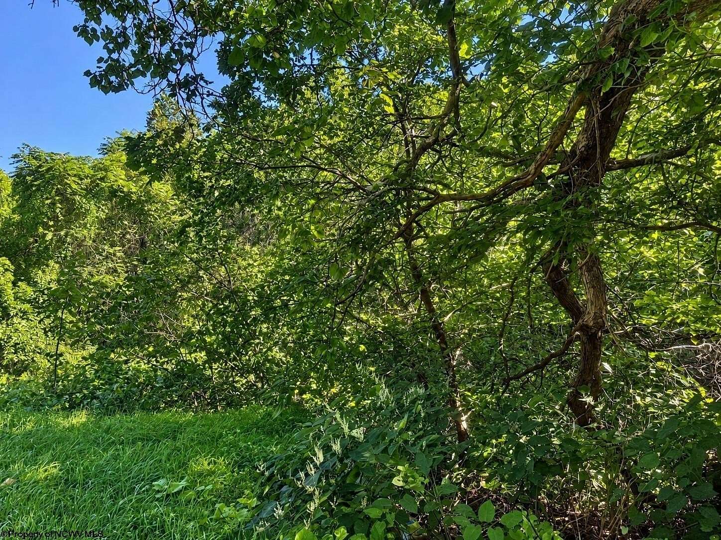 3.86 Acres of Residential Land for Sale in Grafton, West Virginia