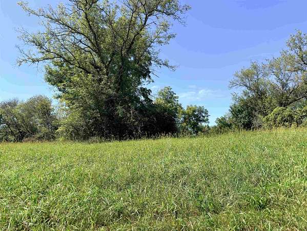 0.52 Acres of Land for Sale in Freedom Township, Illinois