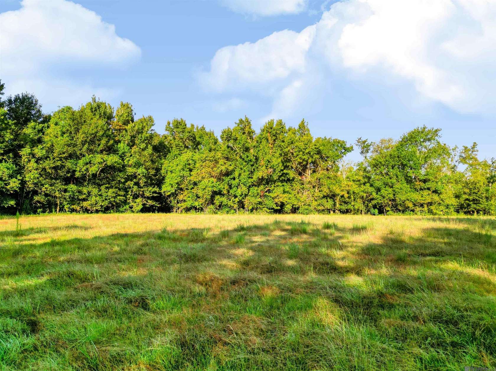 2 Acres of Residential Land for Sale in Geismar, Louisiana