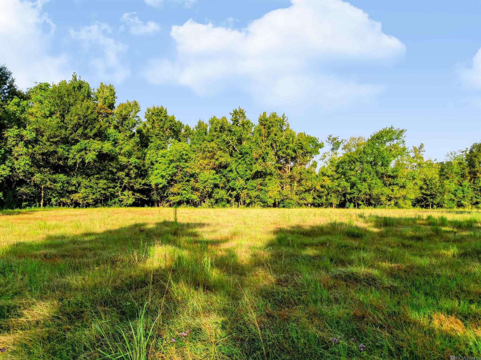 1.68 Acres of Residential Land for Sale in Geismar, Louisiana