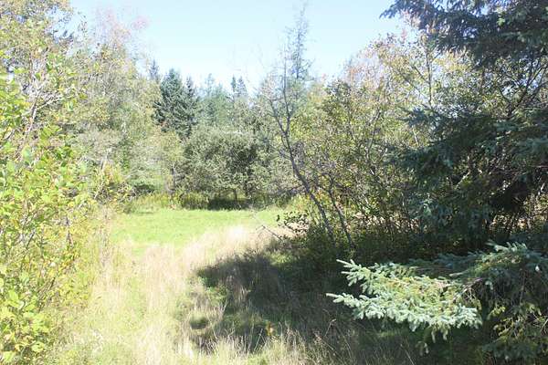 15 Acres of Land for Sale in Perry, Maine