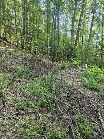 4 Acres of Residential Land for Sale in Otto, North Carolina