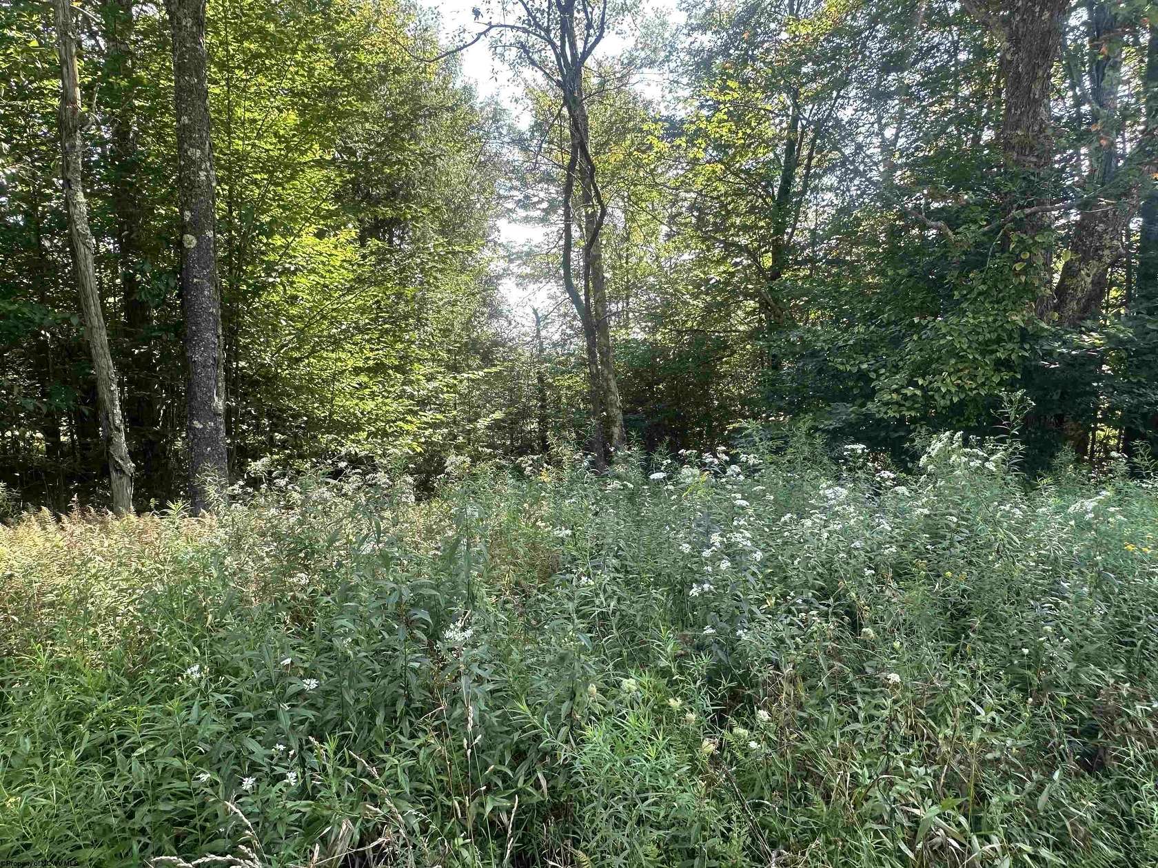 0.4 Acres of Residential Land for Sale in Davis, West Virginia