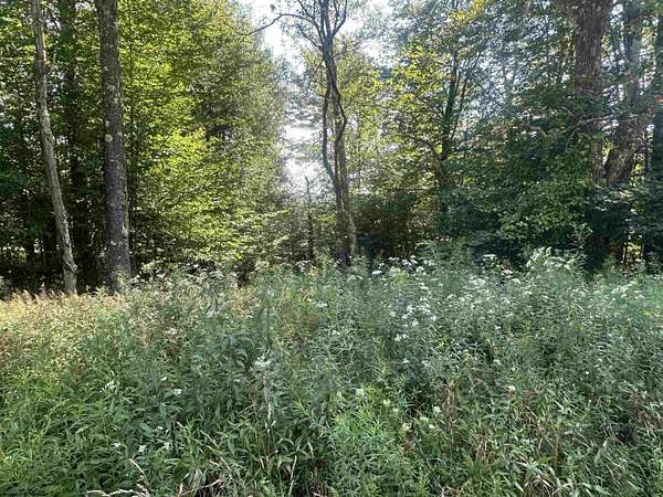 0.4 Acres of Residential Land for Sale in Davis, West Virginia