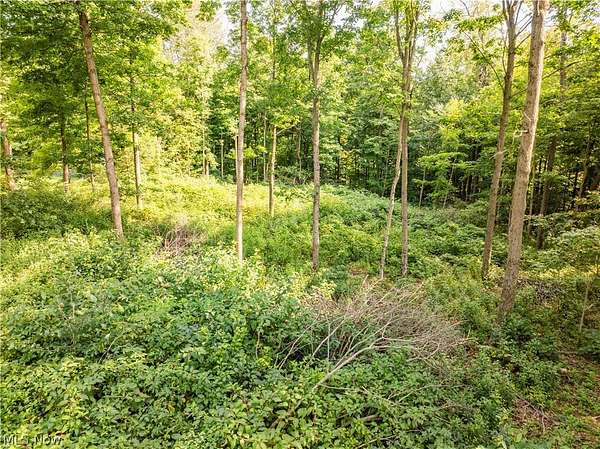 17.5 Acres of Recreational Land for Auction in Millersburg, Ohio