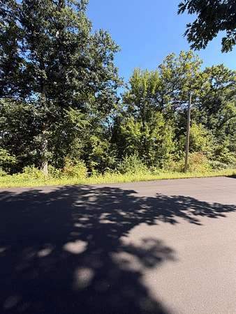 0.47 Acres of Land for Sale in Zimmerman, Minnesota