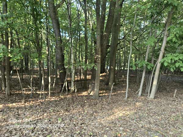 0.73 Acres of Residential Land for Sale in Ludington, Michigan