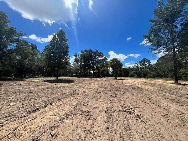 1.25 Acres of Residential Land for Sale in Bronson, Florida