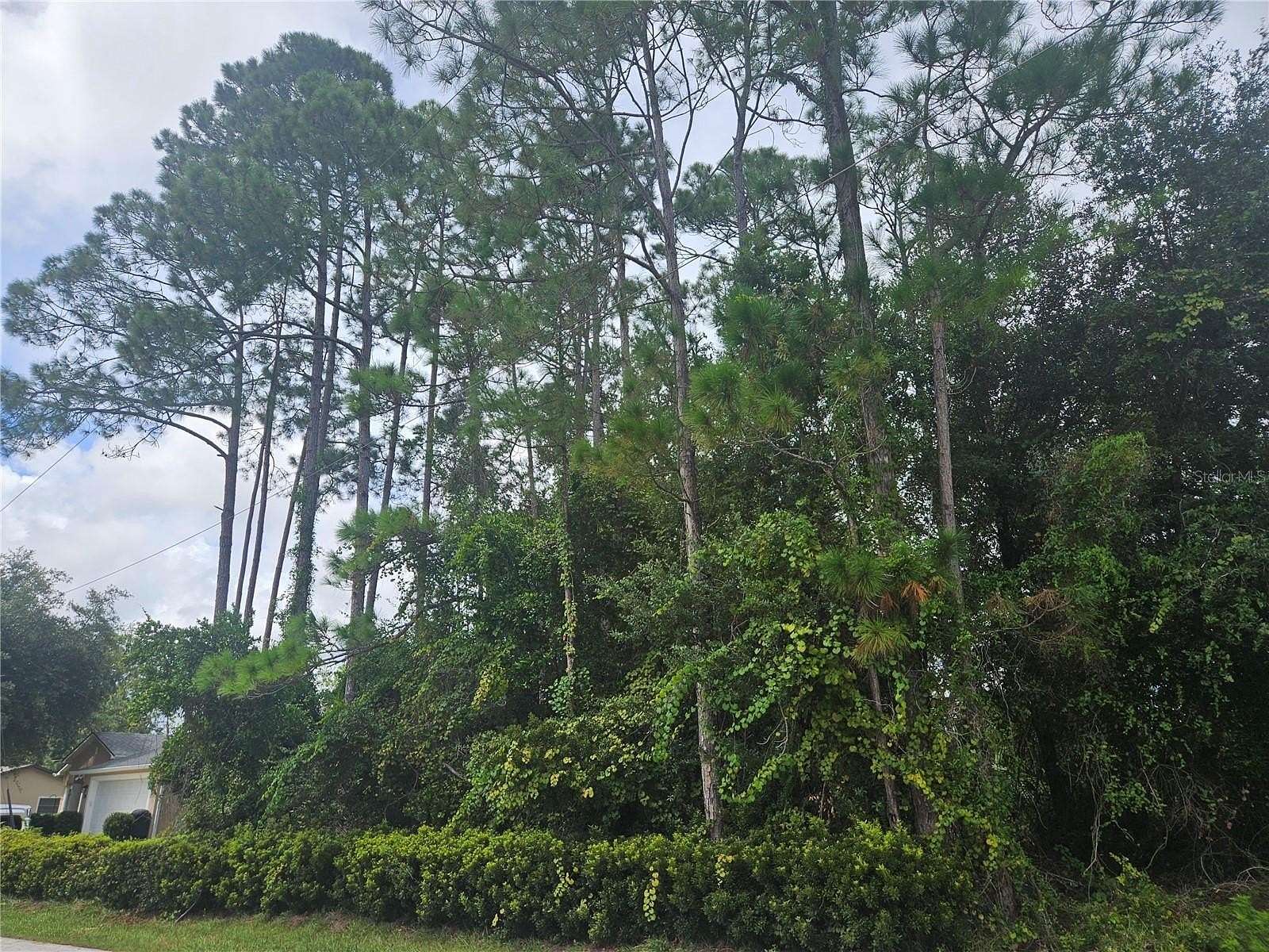 0.28 Acres of Residential Land for Sale in Palm Coast, Florida